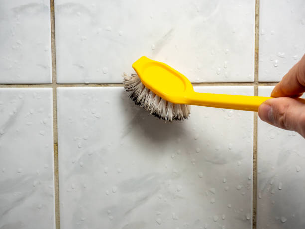 Mold Removal Process in Marienville, PA