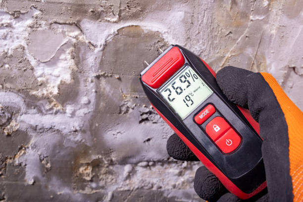 Best Attic Mold Removal  in Marienville, PA