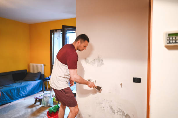 Best Mold Damage Repair  in Marienville, PA
